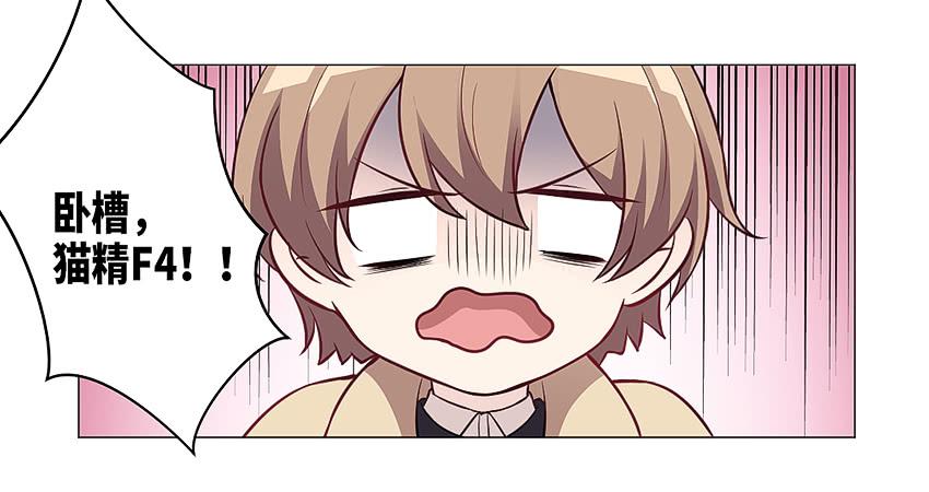 猫精F447