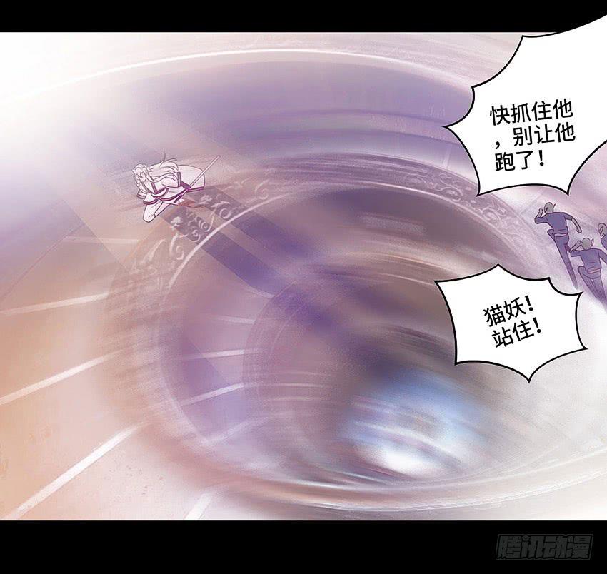 真是只傻猫13