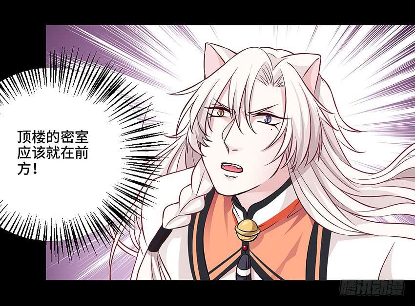 真是只傻猫14