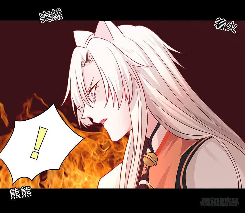 真是只傻猫19
