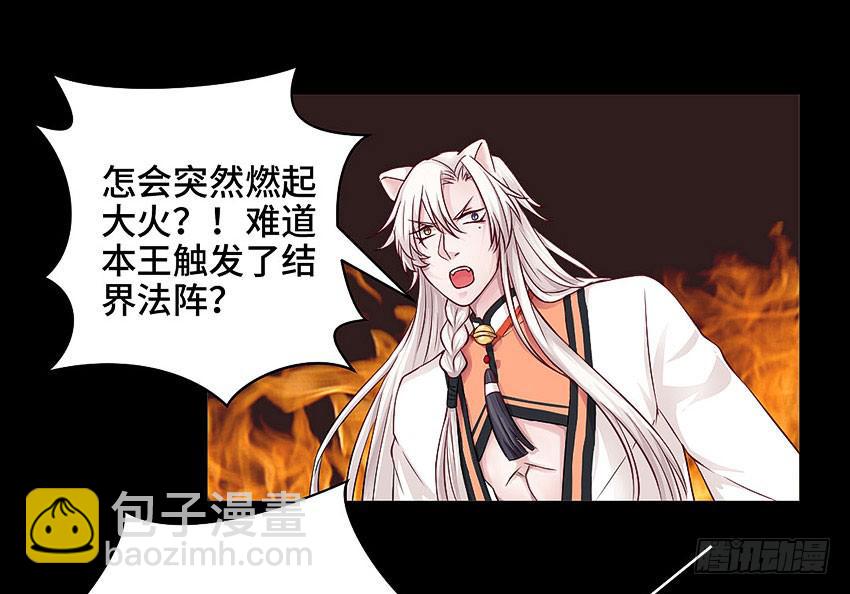 真是只傻猫20