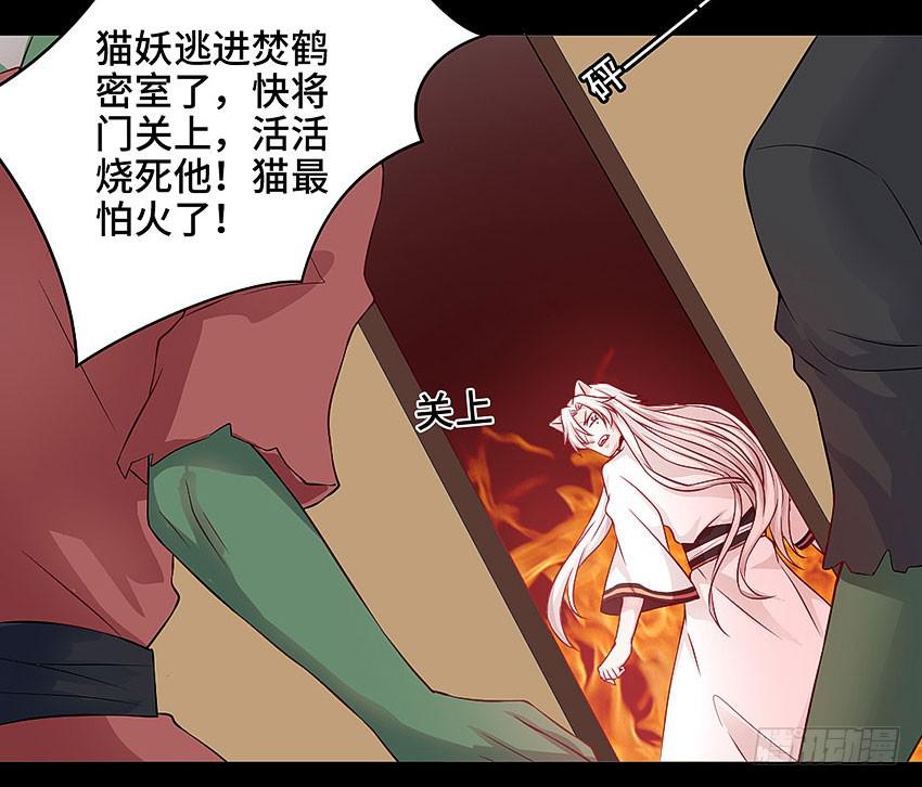 真是只傻猫21