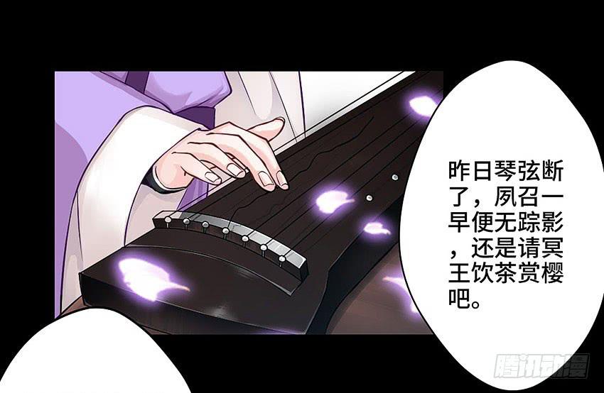 真是只傻猫7