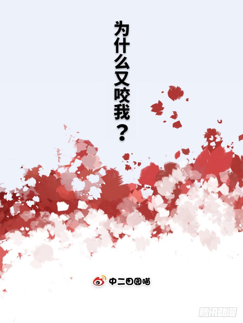 为什么又咬我1
