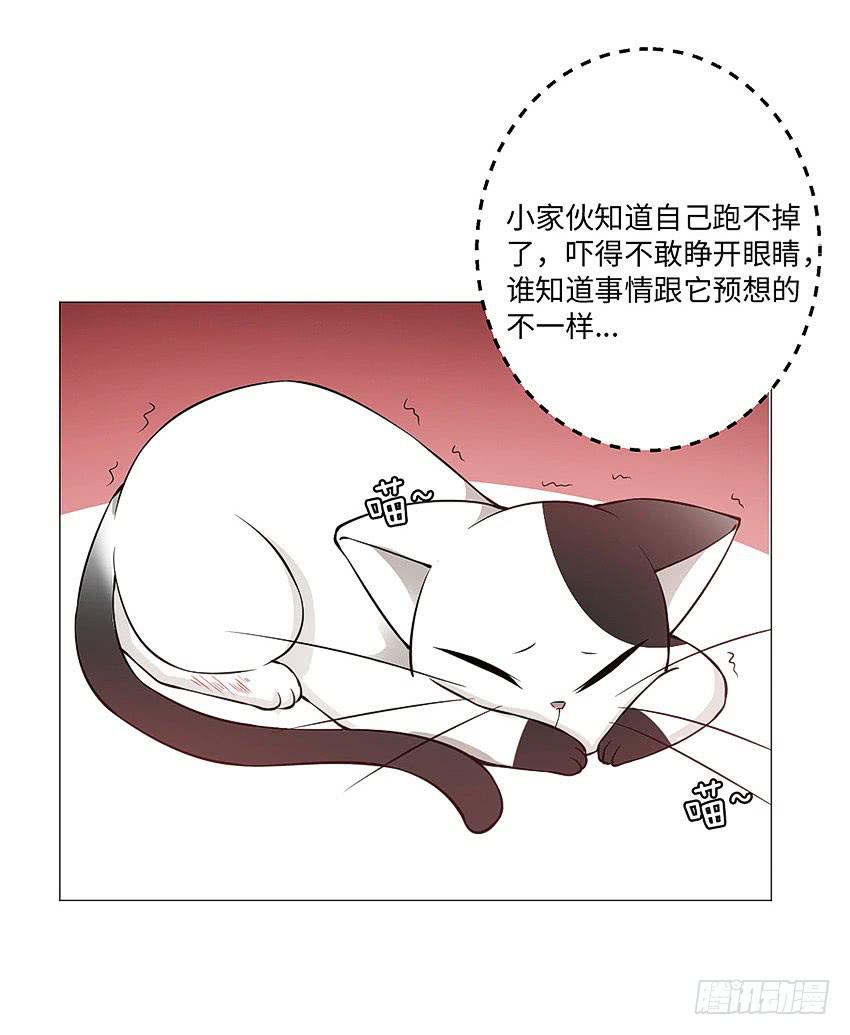 为什么又咬我14