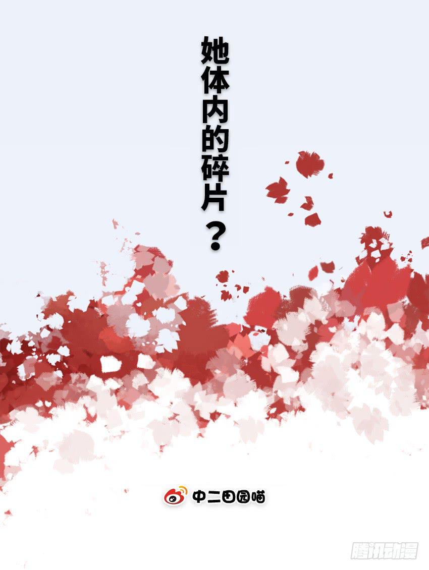 她体内的碎片？1