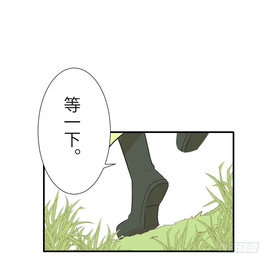 第三个纯种血族大佬38
