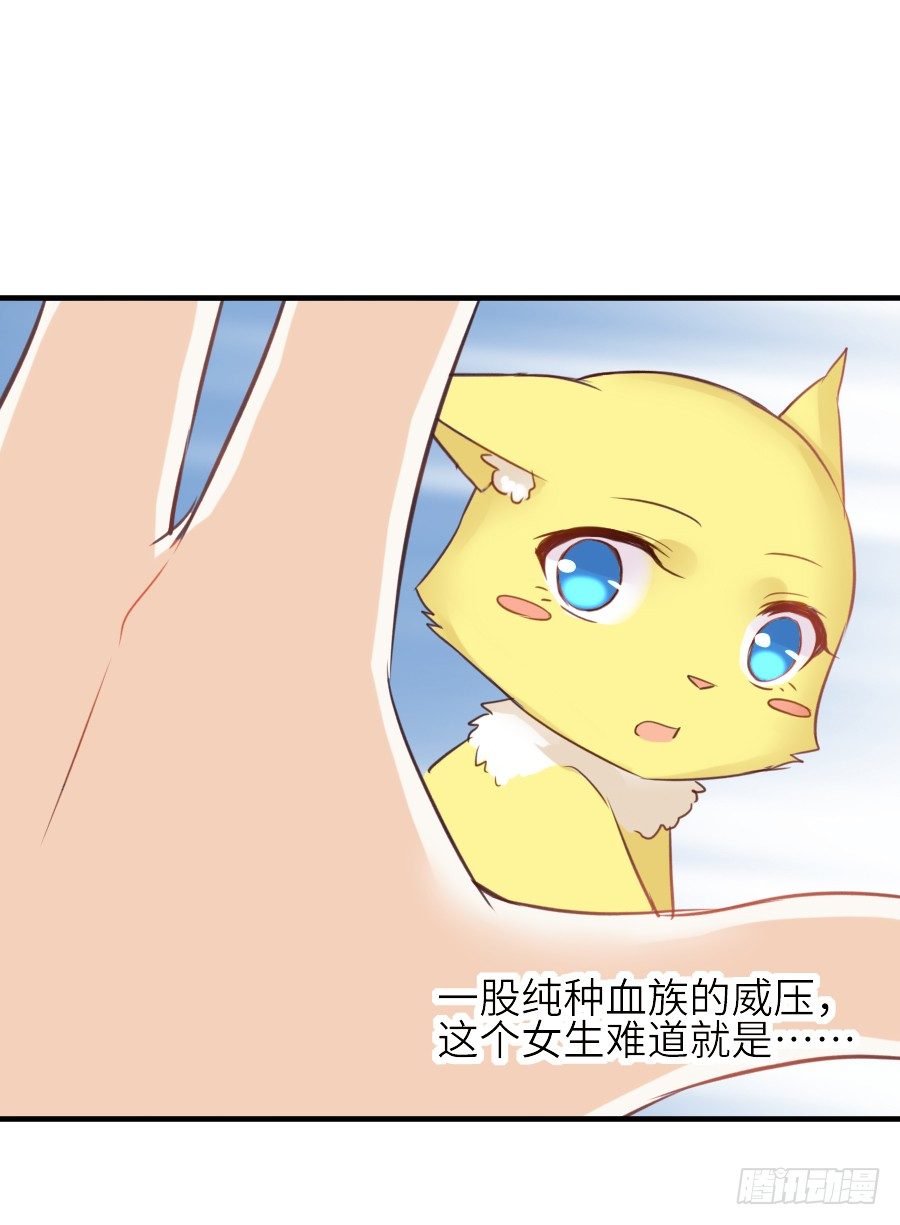 哥哥养你一辈子19
