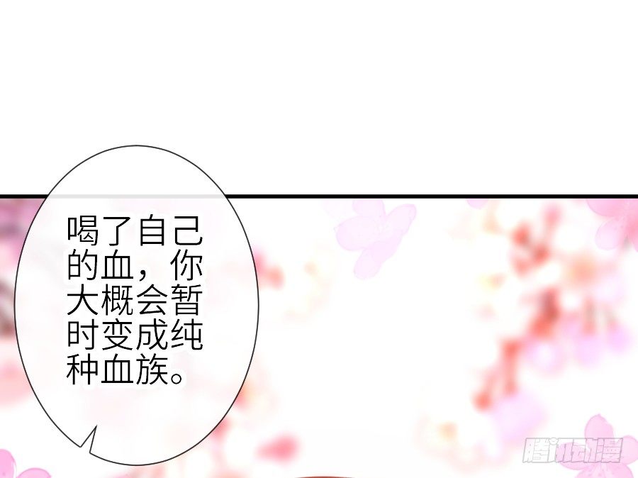 哥哥养你一辈子8