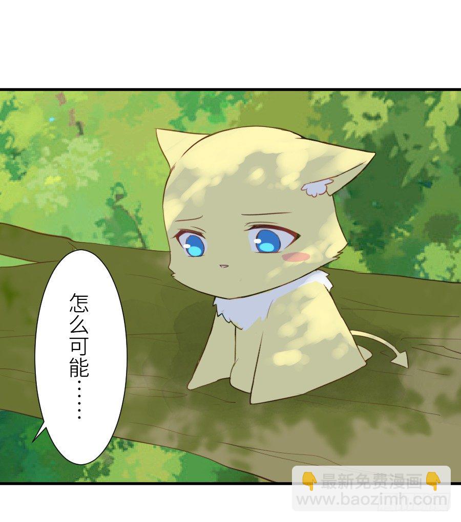 男主就应该有不输于女主的桃花24