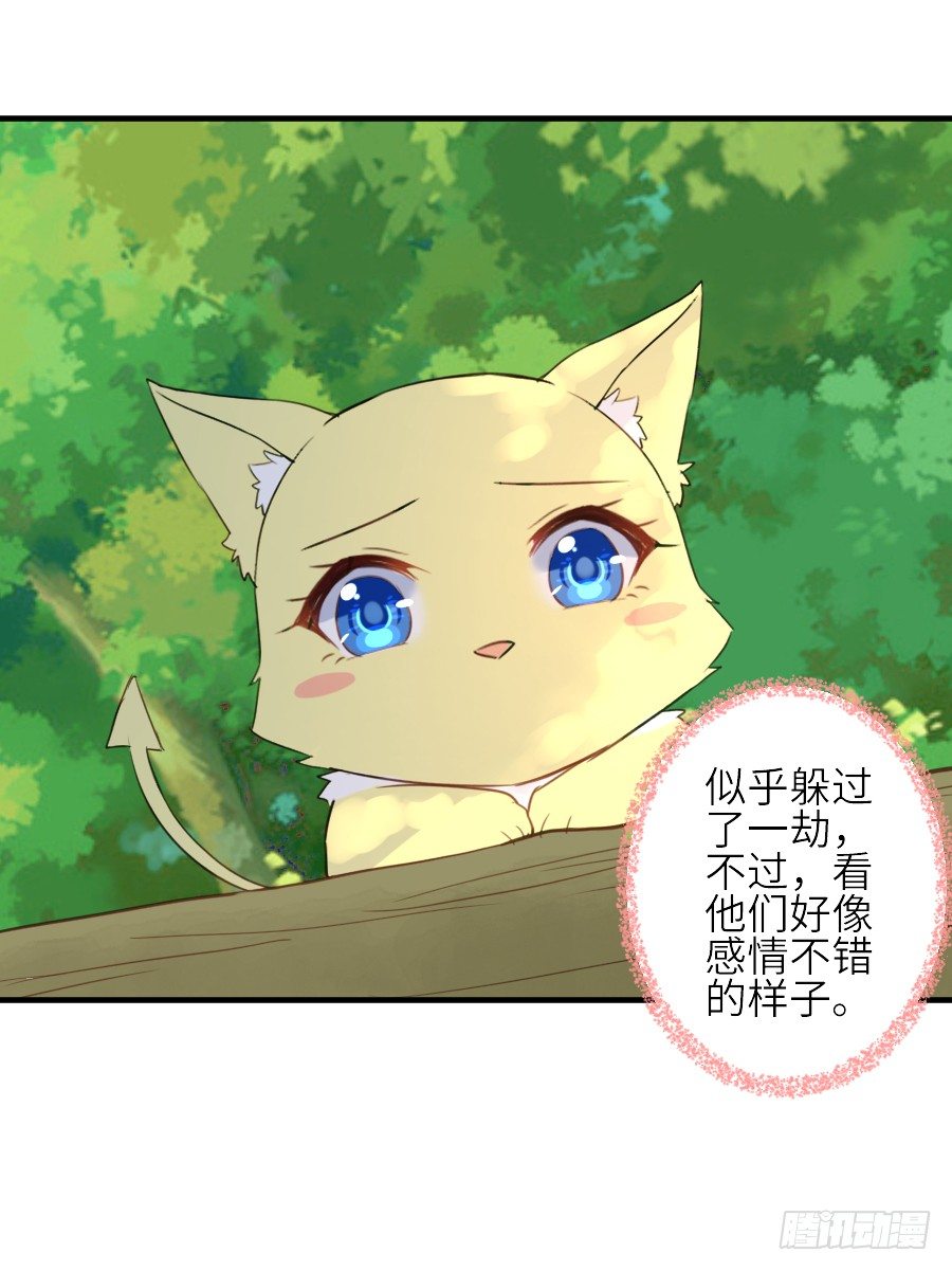 男主就应该有不输于女主的桃花41
