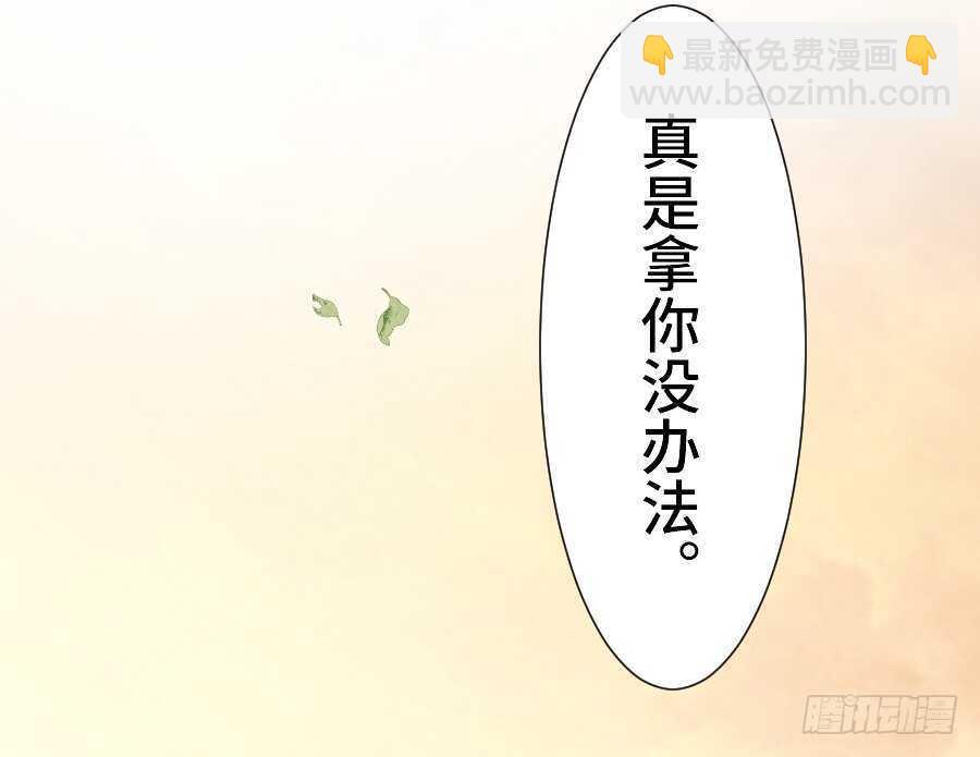 如果是求婚的戒指……30