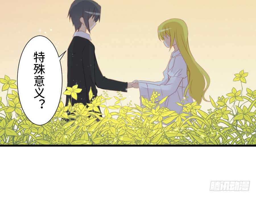 如果是求婚的戒指……52