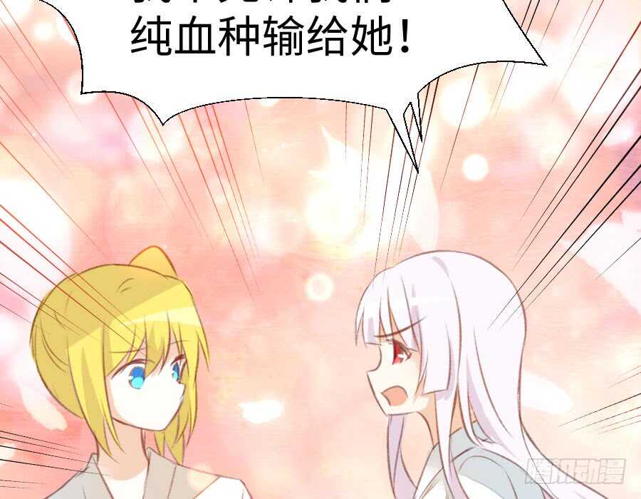 冲突12