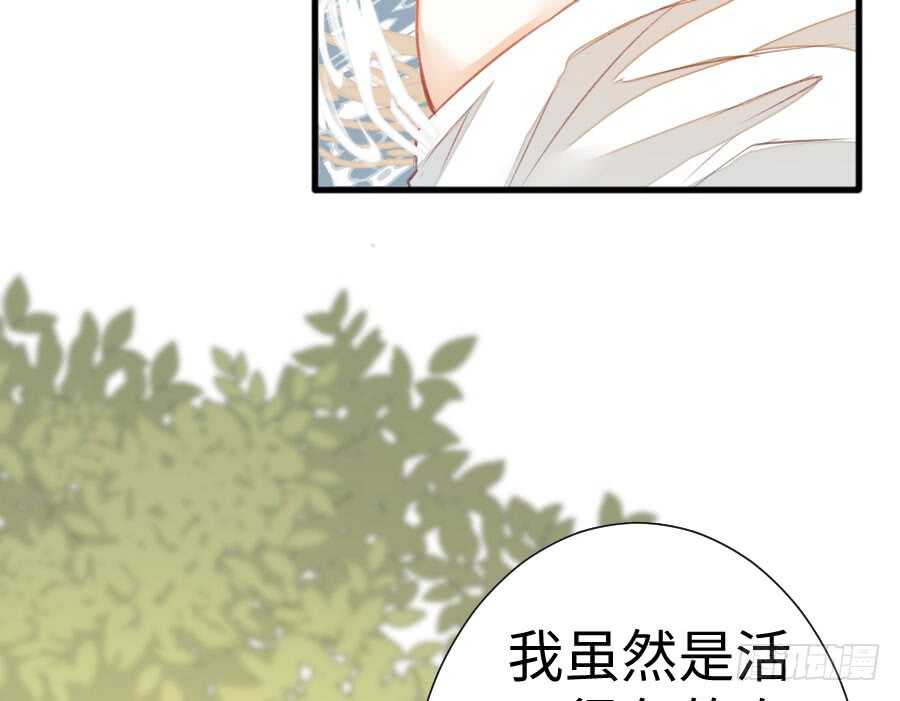 冲突27
