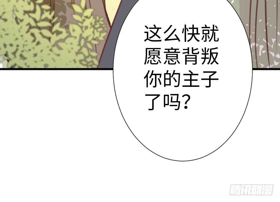 开始行动71