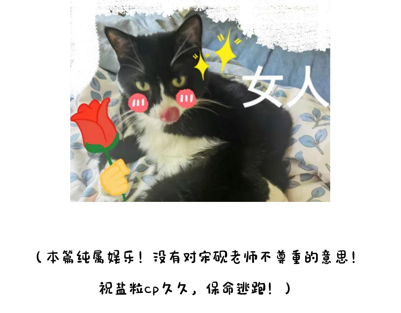 第23期 宋老师舔狗修炼手册（日更中）43