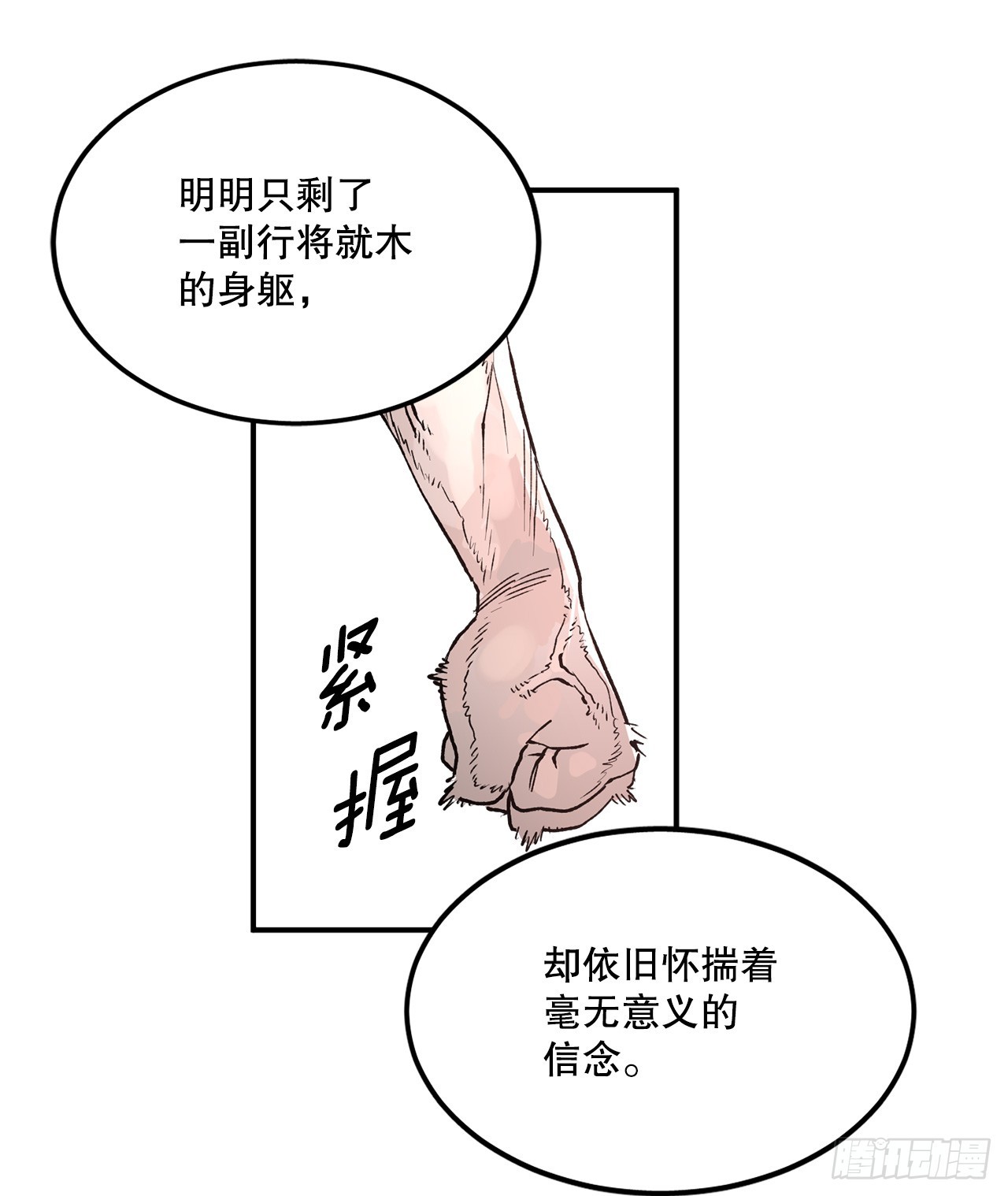 48.尔滋的最后34