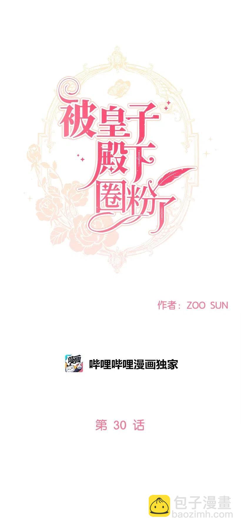 30 公主的谋划29