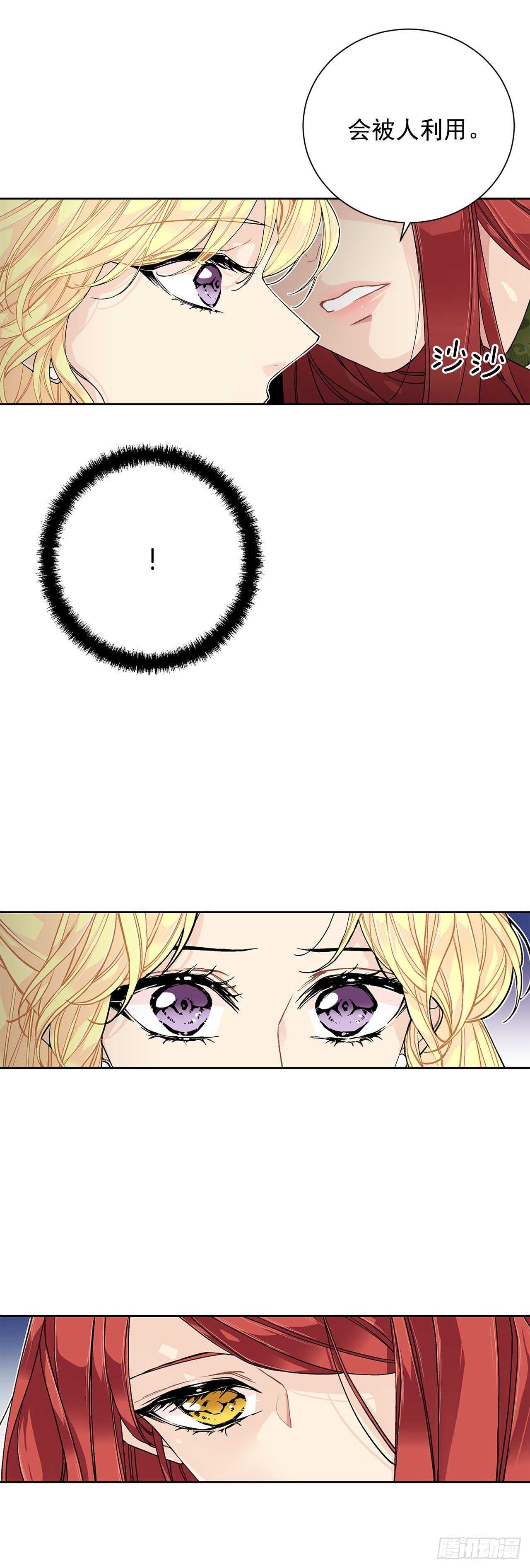 29.玫瑰花22