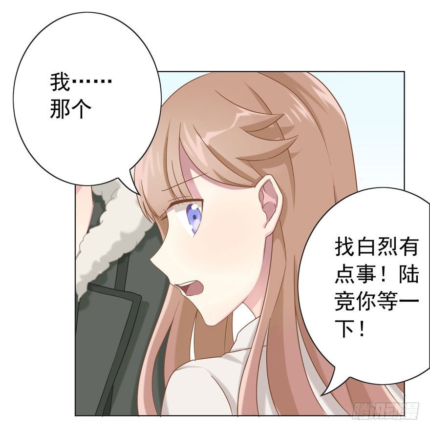 33 林间的交谈13