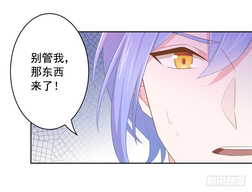 65 攻略有风险26