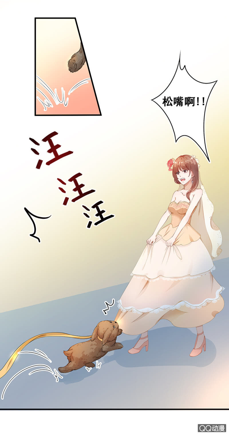 跟狗订婚10