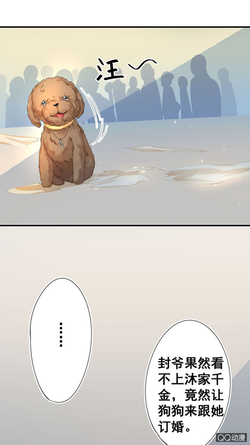 跟狗订婚13