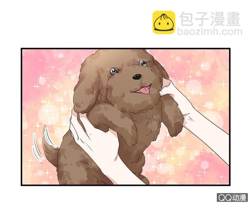 跟狗订婚24