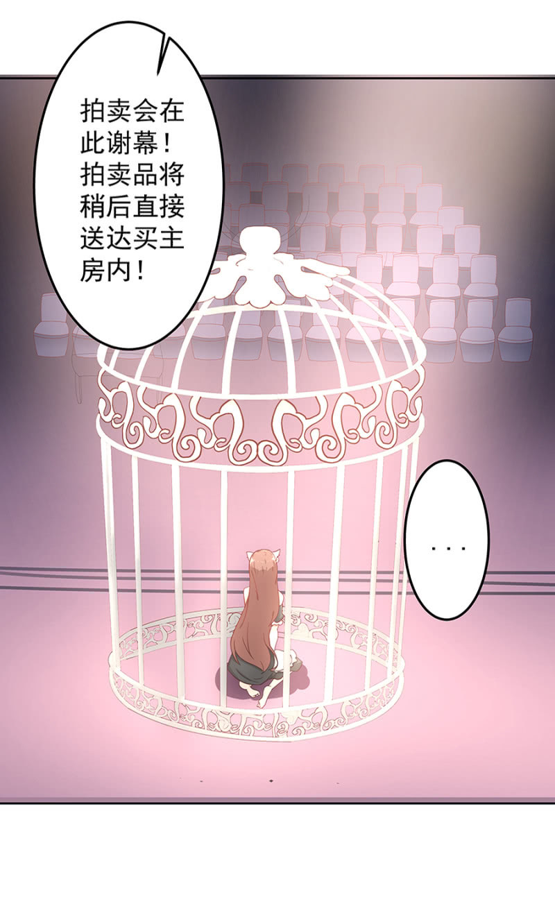 拍卖26
