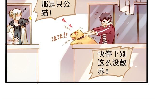 隔壁搬来了新邻居17