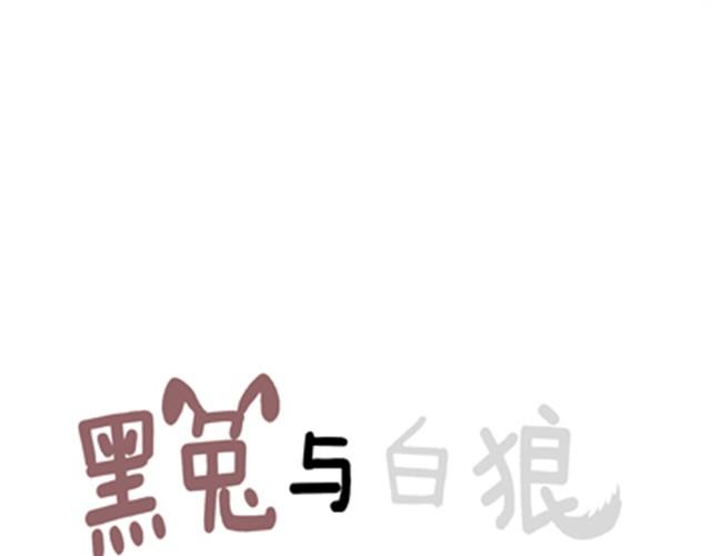 不吃兔子的狼10