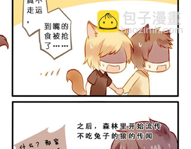 不吃兔子的狼16