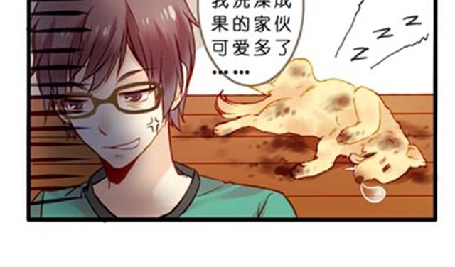 不吃兔子的狼5