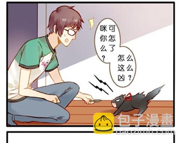 不吃兔子的狼7