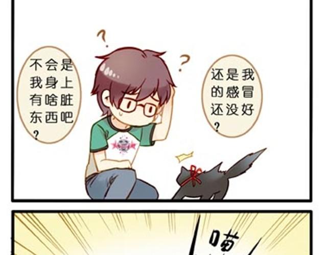 不吃兔子的狼8