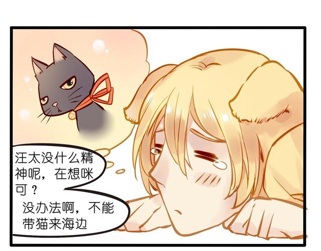 海滩惊魂记6