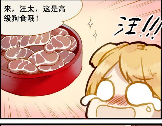 给我小鱼干嘛！1
