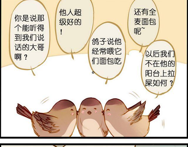 麻雀本身就是多嘴的嘛13