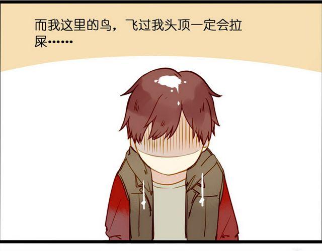 永远都是别人家的1