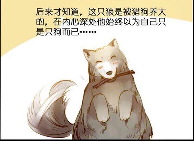 化险为夷11