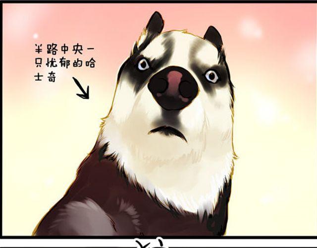 化险为夷13