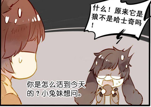 化险为夷27