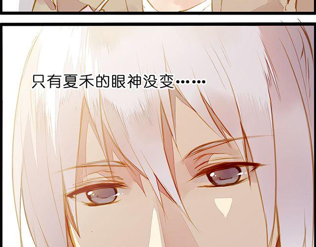 夏禾的哥哥？9
