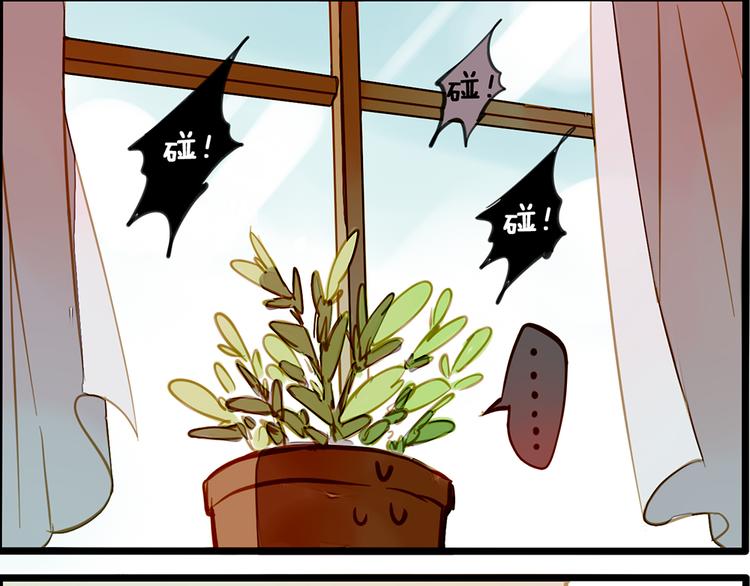 风的追求10