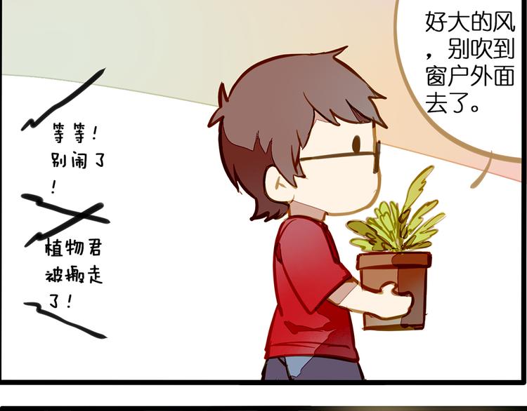 风的追求11