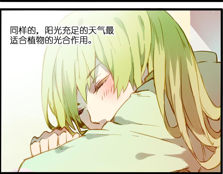 风的追求4