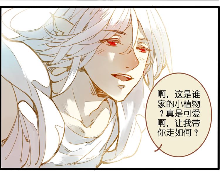 风的追求5