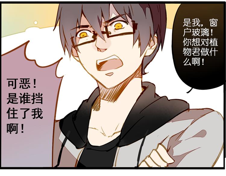 风的追求7
