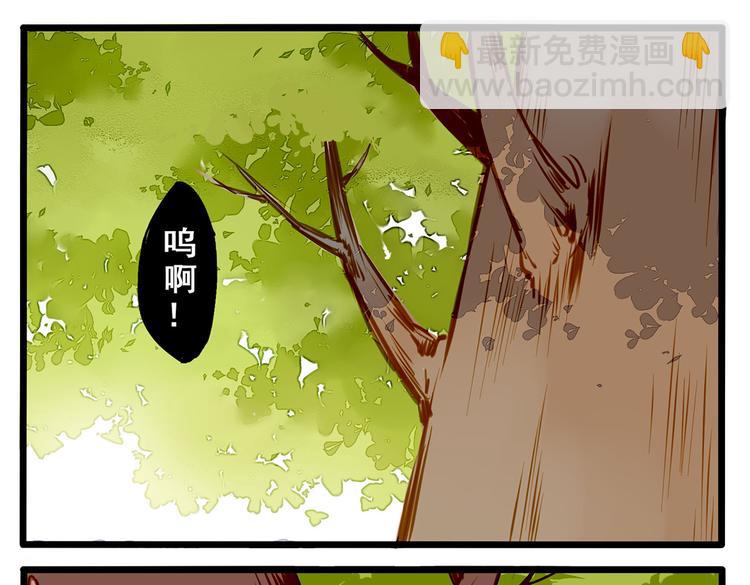 家有美男“福气”多29